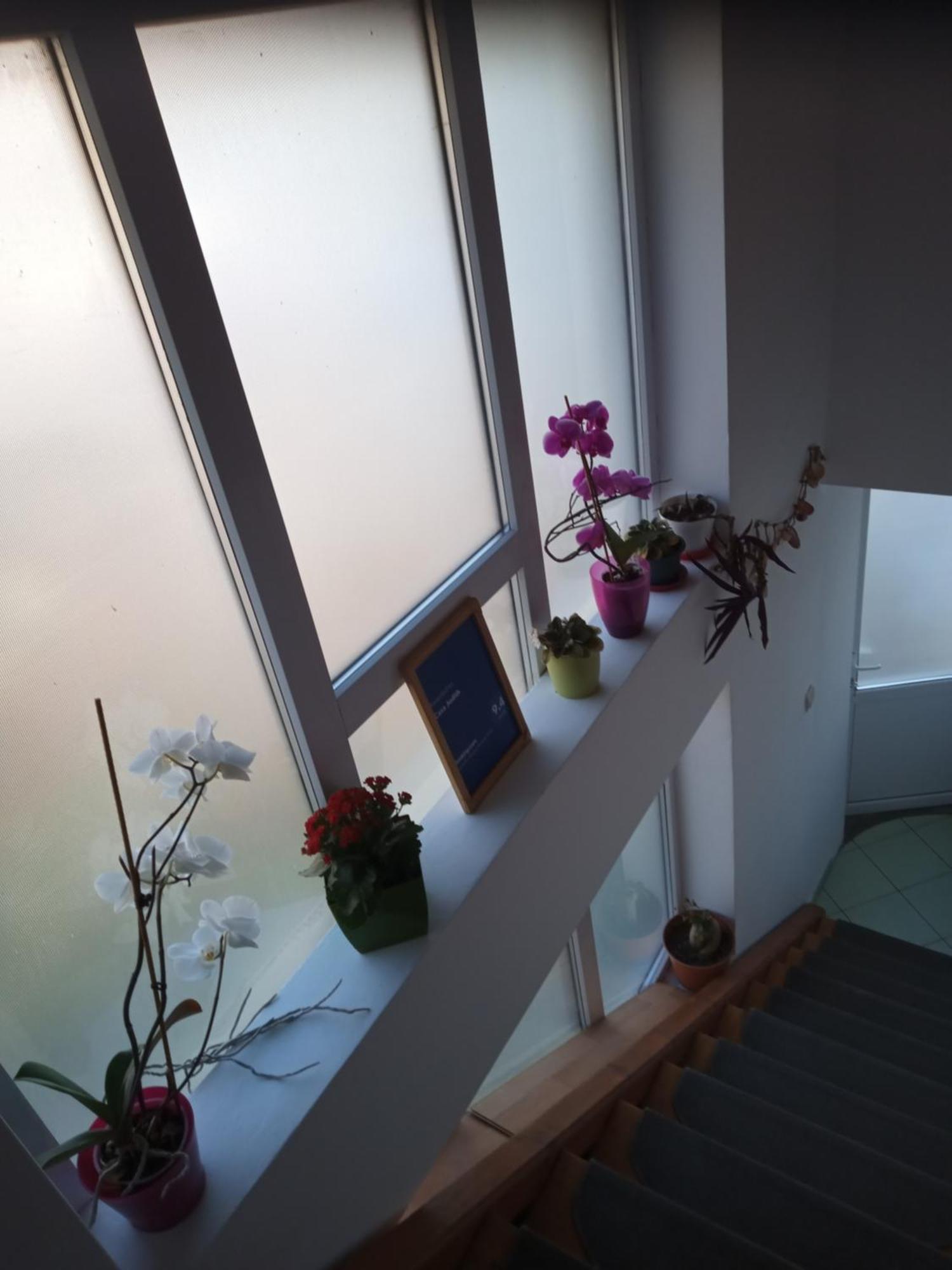 Casa Judith Turda Habitación foto