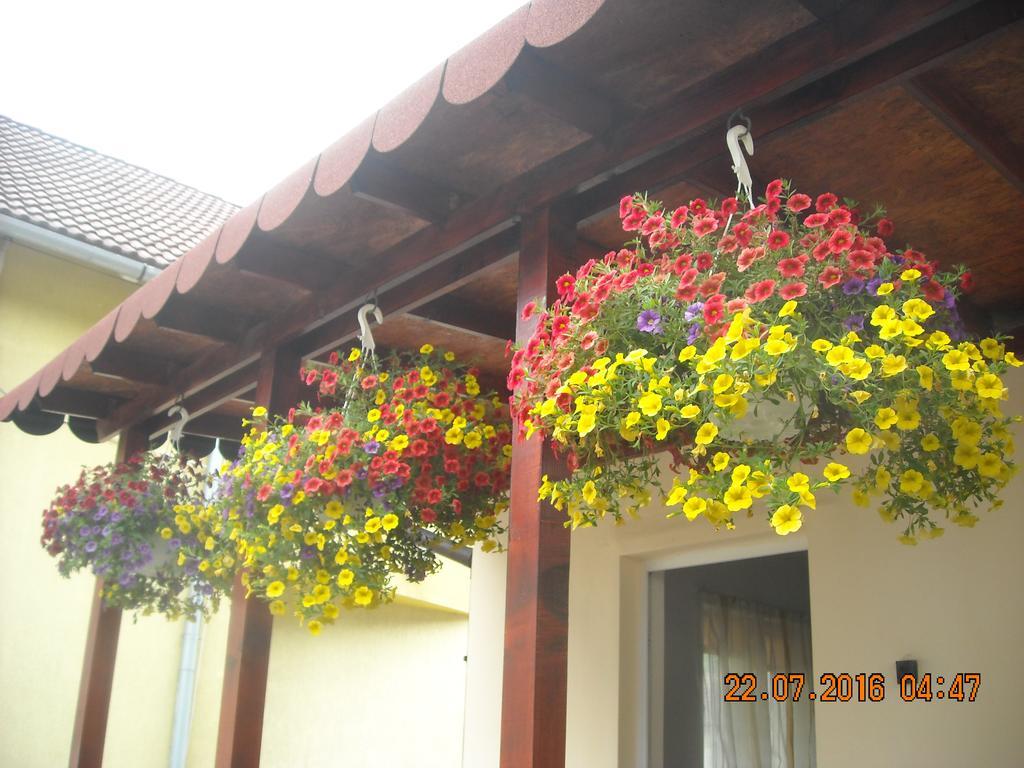 Casa Judith Turda Exterior foto